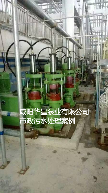 污水處理廠使用YBH200節(jié)能柱塞泵現(xiàn)場(chǎng)